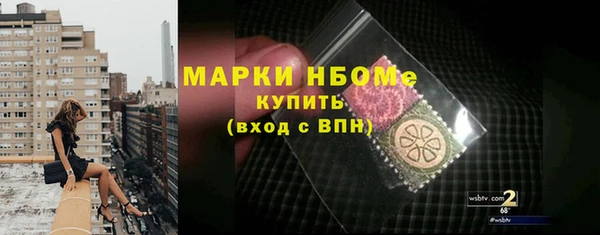 индика Протвино