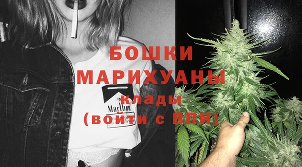 индика Протвино