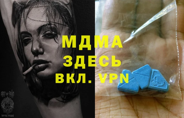 индика Протвино