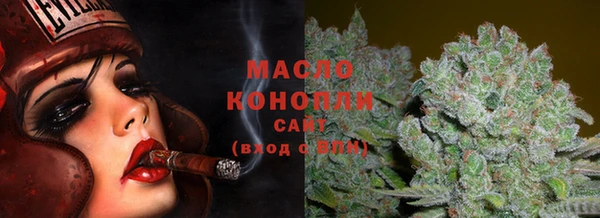 индика Протвино