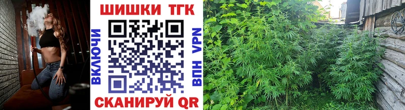купить закладку  Красноармейск  omg tor  Каннабис OG Kush 